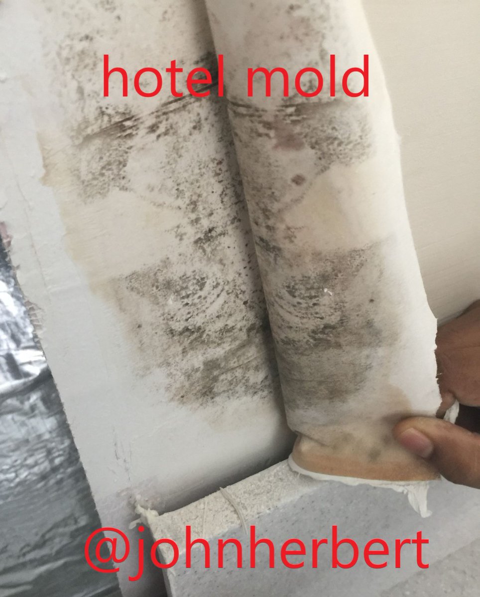 johnherbert's tweet photo. "significant threat to human wellbeing" 

Well not really, impacts are limited to building occupants not the whole of humanity 

- identifying the root cause does need domain expert, especially now, when budgets are under attack #sickbuildings #hongkong #asia #hotels #hvac #mold https://t.co/gTXiDycwpZ