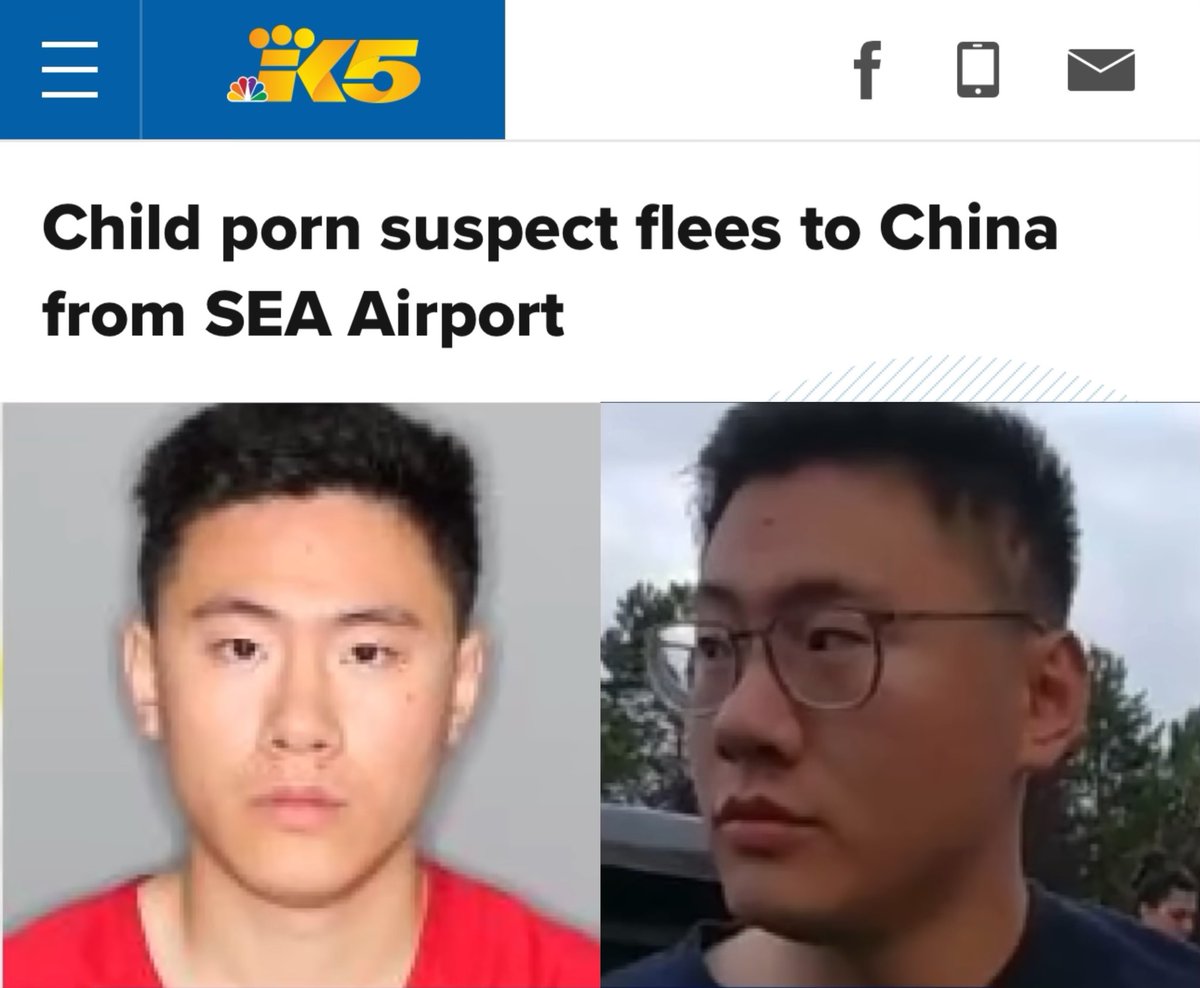 华男被控持儿童色情物品 护照被扣竟成功返中