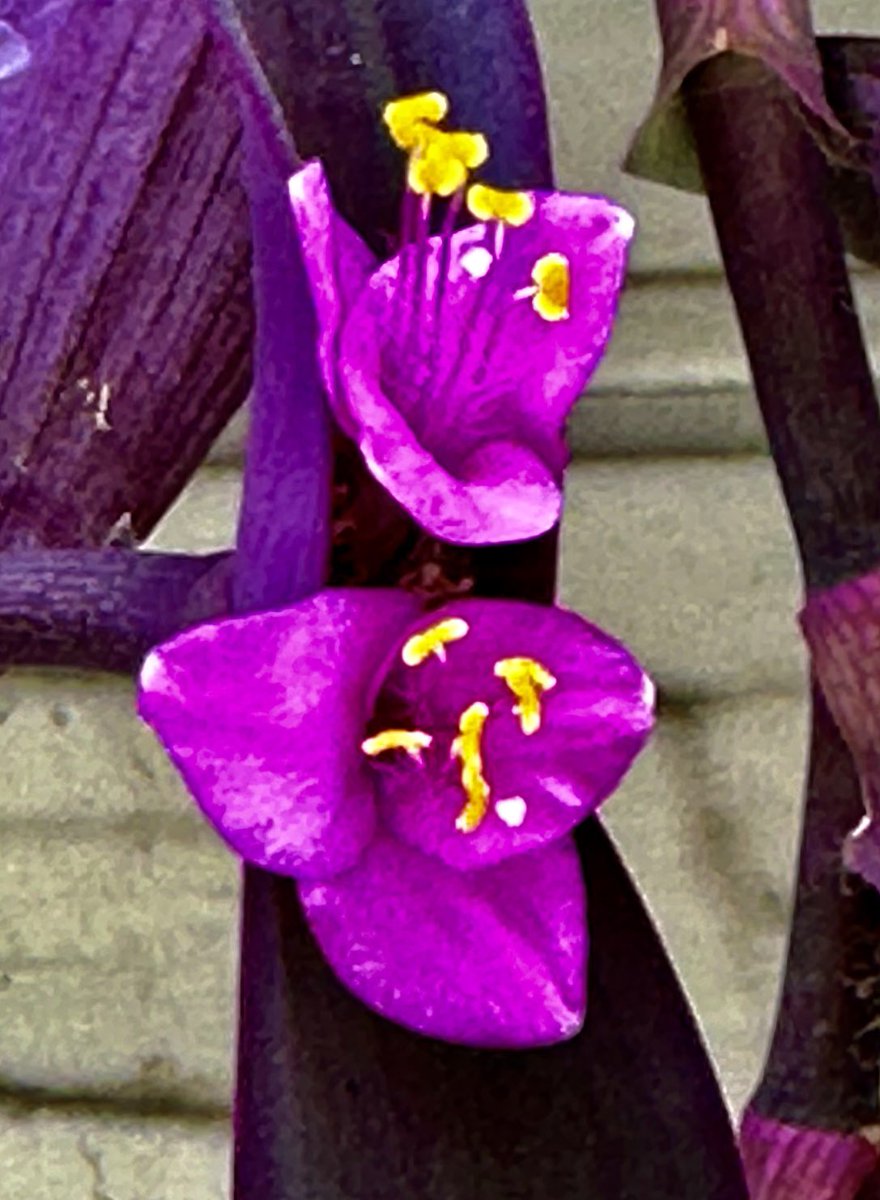 educationtr's tweet image. #October21st🌍