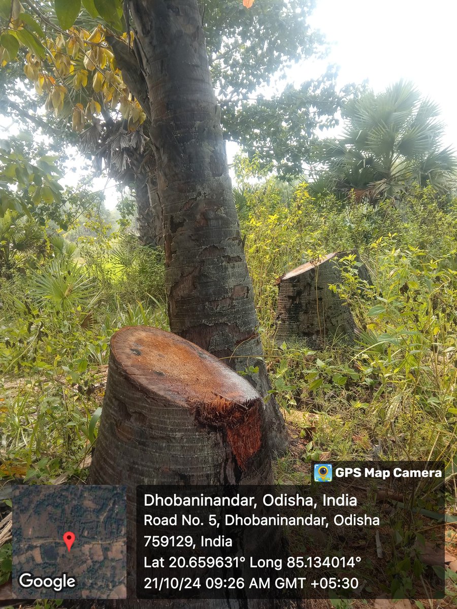 Satyabrat Nayak tweet media