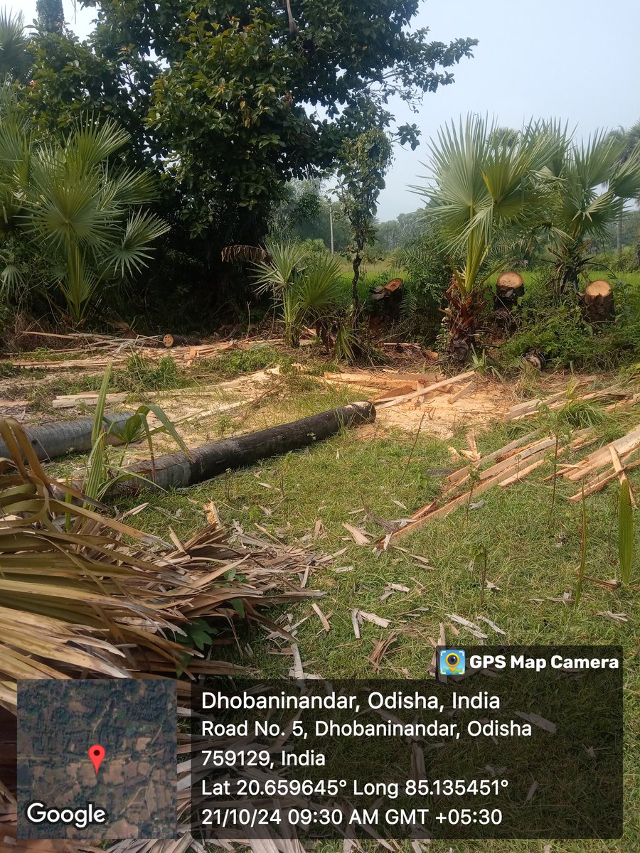 Satyabrat Nayak tweet media