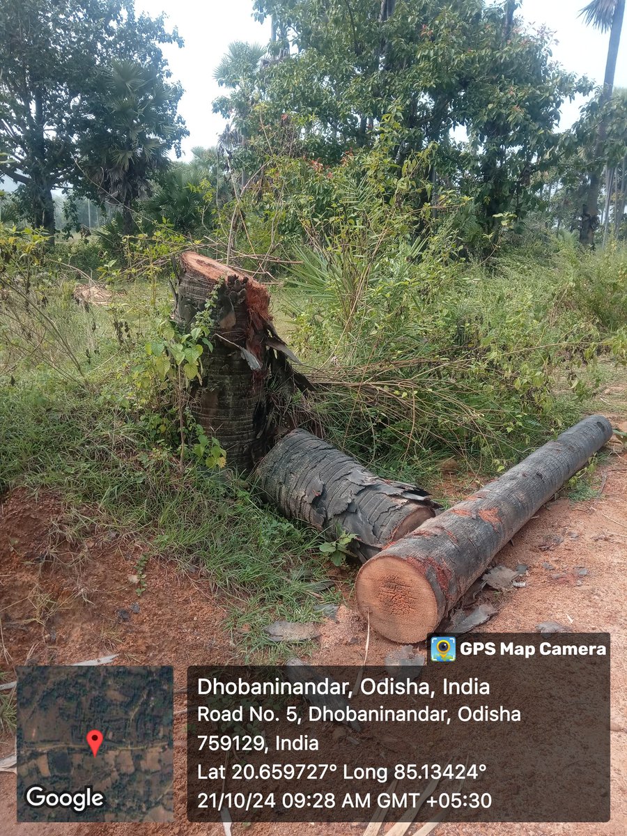 Satyabrat Nayak tweet media