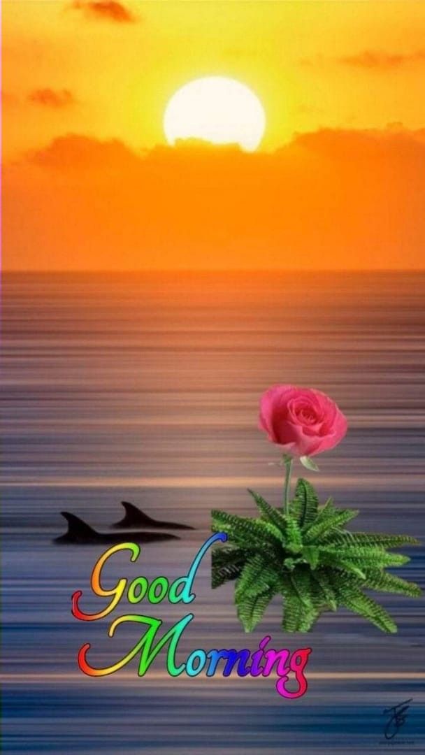 👉💯Good morning 🌅🙏 

👉🙏राधे राधे 💝🙏 

👉🌷जय श्री कृष्णा 💓🙏 

👉🥰शुभ प्रभात 💓🫰