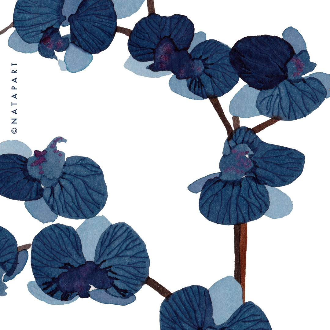 Like if you are into miniature flowers as much as I am. 

This little orchid painting sold really quick but they are definitely on my list of new work to create. So very Japanese...

#bluepainting #bluepaintings ⁠#watercolorflowers #blueorchid #blueorchids #japaneseinspiredart