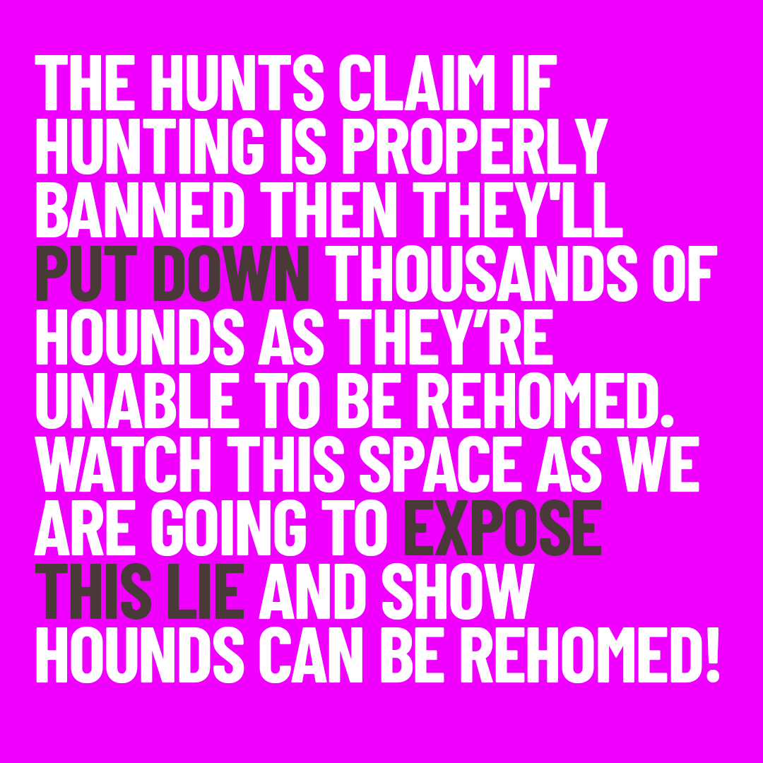 Protect the Wild (@protectthewild_) on Twitter photo 