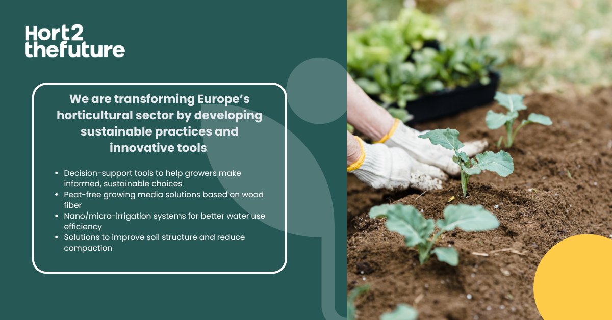 Hort2thefuture tweet media