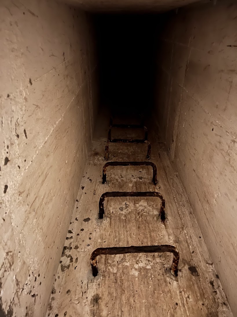 Nikodem Lokatelj tweet media