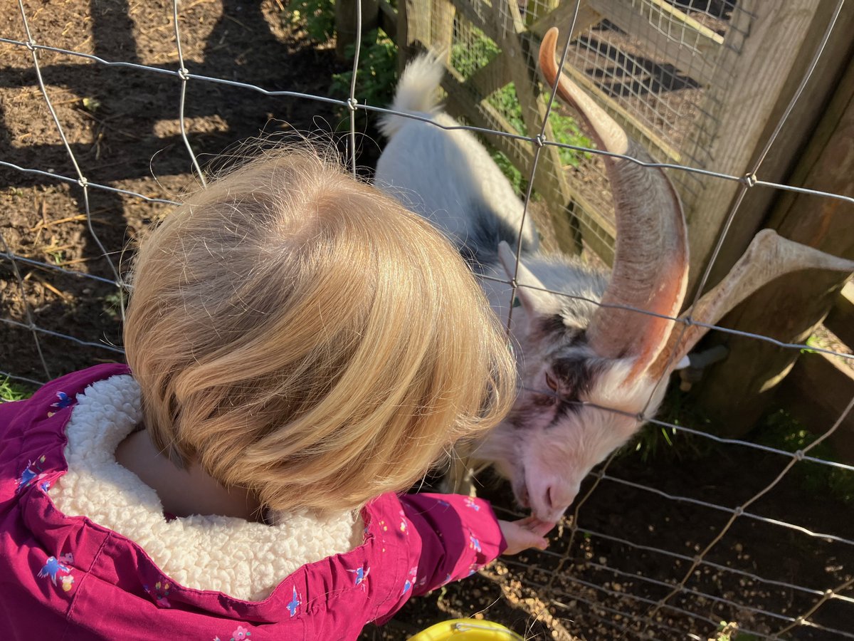 Farm Tots is back tomorrow, and every Tuesday during term time, 10am to 11.30am at the Farm!

Feed the animals, sing Farm songs, play in our roundhouse garden and connect with others.

tickettailor.com/events/bathcit…

#farmtots #bathcityfarm