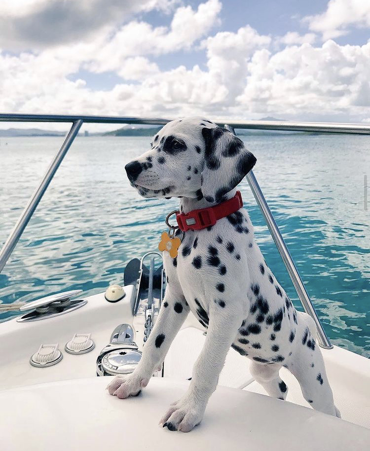 Seas the day matey! 🙂

#JMVIRealty #amazing #travel #lifestyle #blues #chic #photooftheday #sun #beautiful #ig #follow #instagram #tuesday