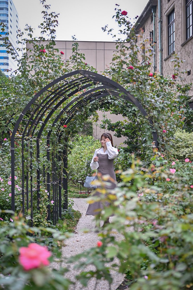 momomi_ometabi's tweet image. GENICからNikon Z6IIIを借りて、秋バラ咲き誇るローズガーデンをお散歩。

そしてずっと使ってみたかったNIKKOR Z 24-70mm f/2.8 S、綺麗なボケ感で写真撮るの楽しくなる…！☺️

#Z6III #Zf #genic_nikon #NIKKORZ #nikoncreators