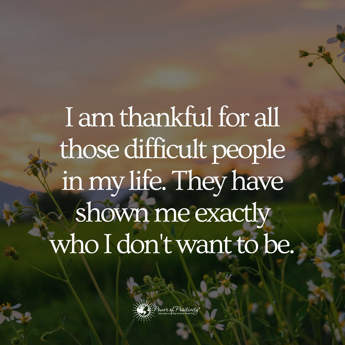 I am thankful for all those difficult people in my life. They have shown me exactly who I don't want to be.
