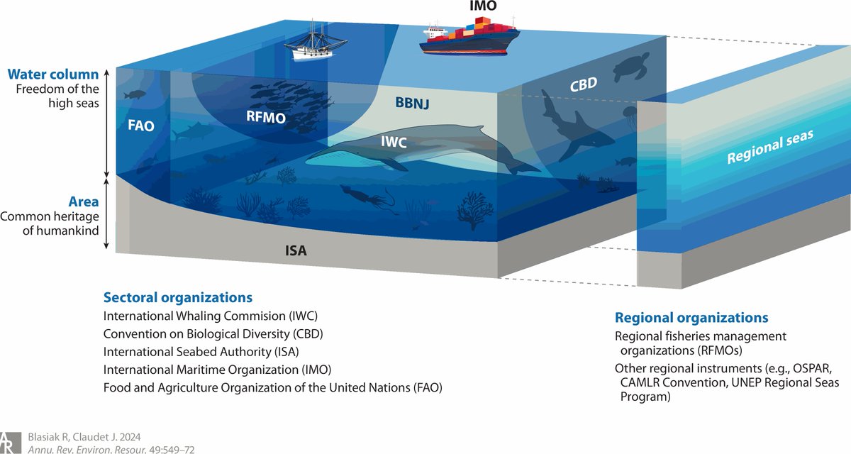🚨Paper Alert🚨

💡Everything you always wanted to know about #Governance of the #HighSeas*

💭(*But Were Afraid to Ask)

⚡️Achieving #coherence across public &amp; private governance mechanisms: a challenge but key to achieving ocean sustainability goals.

📰doi.org/10.1146/annure…