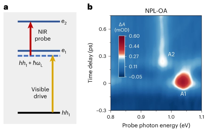 New article online: Observation of Floquet states and their dephasing in colloidal nanoplatelets driven by visible pulses.

go.nature.com/40jtOxc