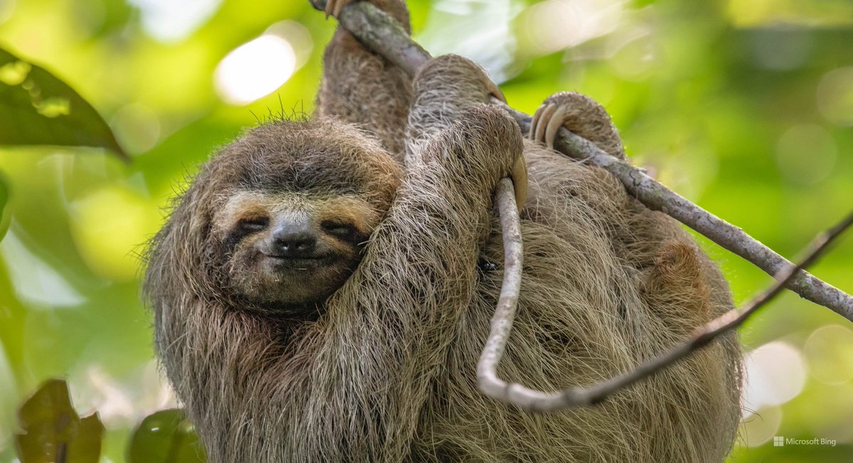 Anna Lenhardt (she/her) tweet media