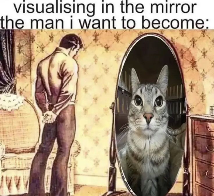 denoodle tweet media