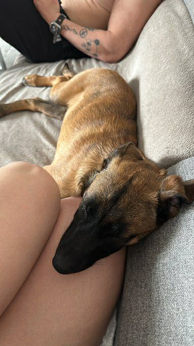 C’est bon rien à foutre… tous ceux qui s’abonne et qui like ce tweet auront une belle surprise en dm🤭

Dit moi quand c’est fait 😇