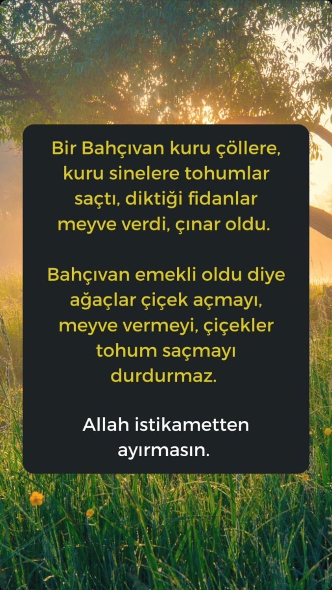 mtuncaytas's tweet photo. https://t.co/lb7idk3chk