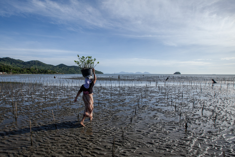 Fonds français pour l'environnement mondial (FFEM) tweet media