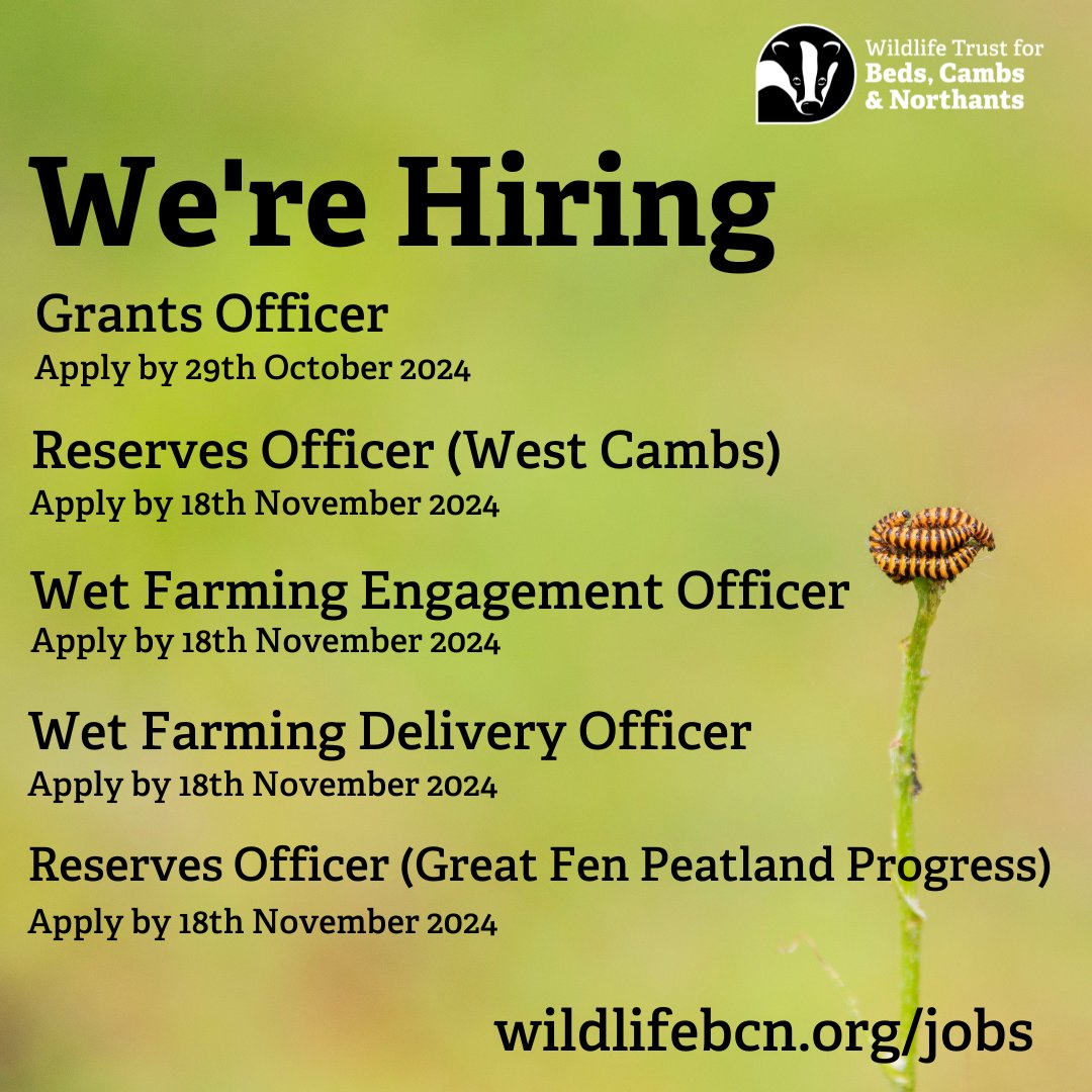 wildlifebcn's tweet image. 📣We're hiring! 

👏We've got some fantastic jobs recruiting at the moment. Take a look below. 

For more information on each role and to apply head to our website👉wildlifebcn.org/jobs