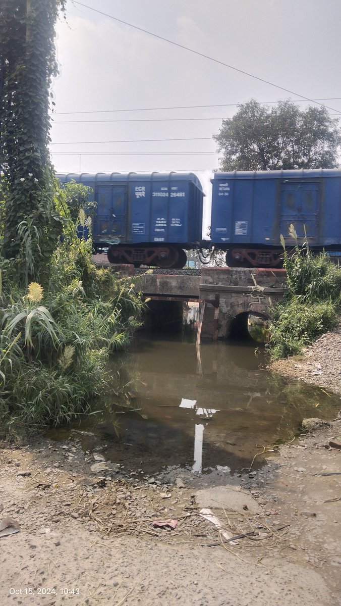 sandip_saurabh's tweet image. यह अंडरपास ऐतिहासिक गुरु के बाग के बगल में स्थित है। यह देसी-विदेशी श्रद्धालु का आना जाना लगा रहता है। विगत माह से जलजमाव के कारण आवागमन बाधित है एवं डेंगू की संभावना बनी हुई है।यह हाल है स्मार्ट सिटी पटना का।