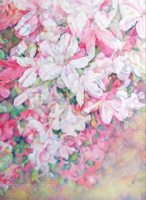 #あなたの評判良かった4選がみたい 油性色鉛筆で描いた風景とお花たち海の絵もまた描きたいです#色鉛筆画 