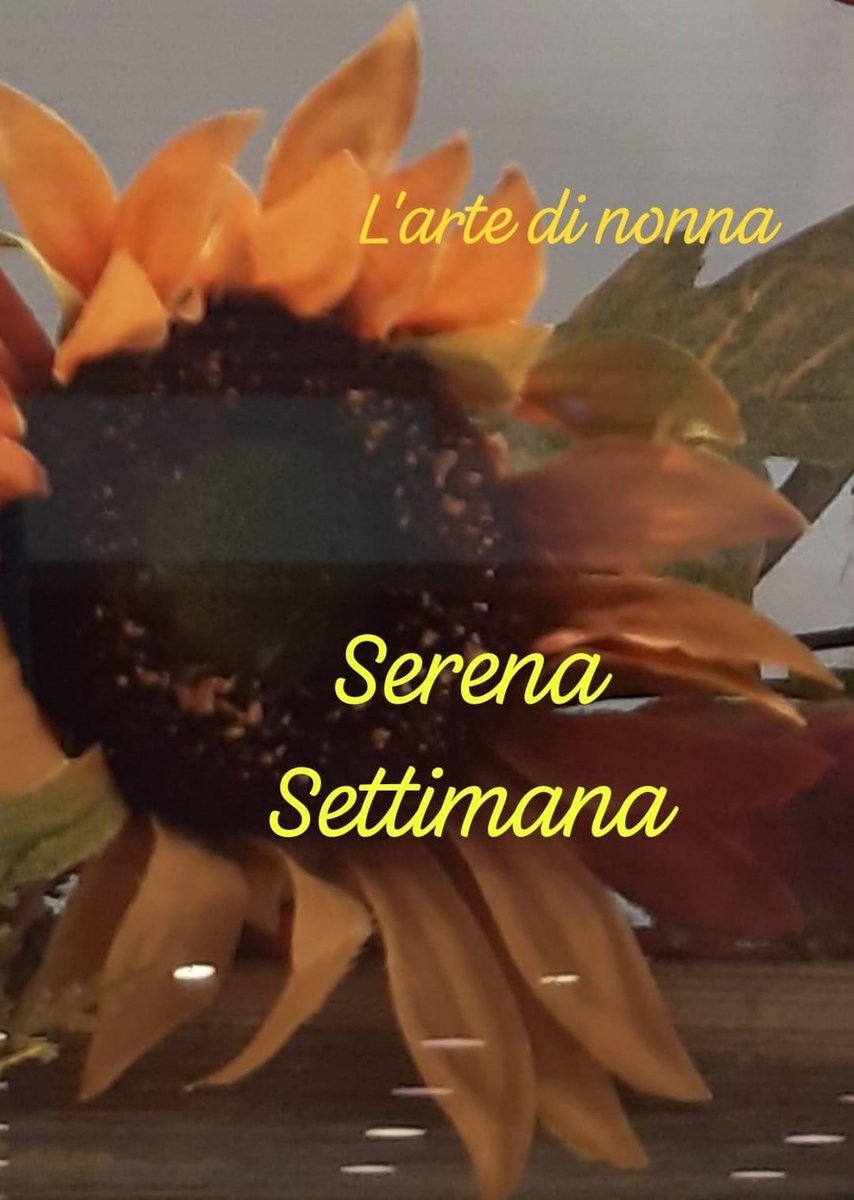 RITABIANCHi56 tweet media