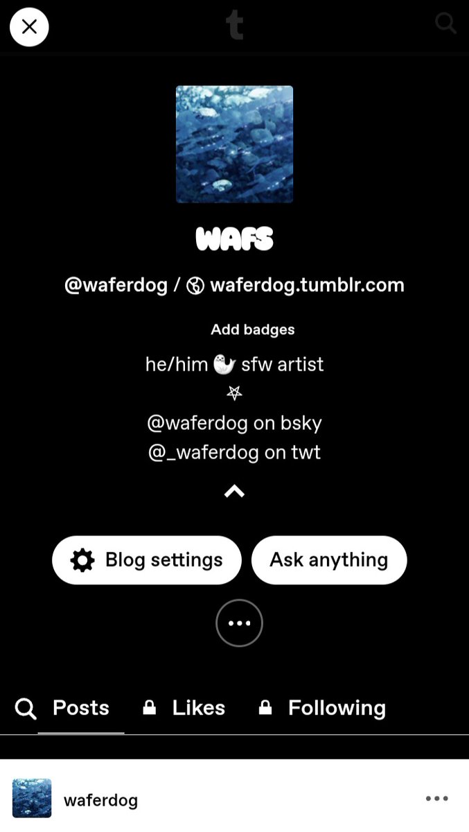 wafs ⁝ 🫧 tweet media