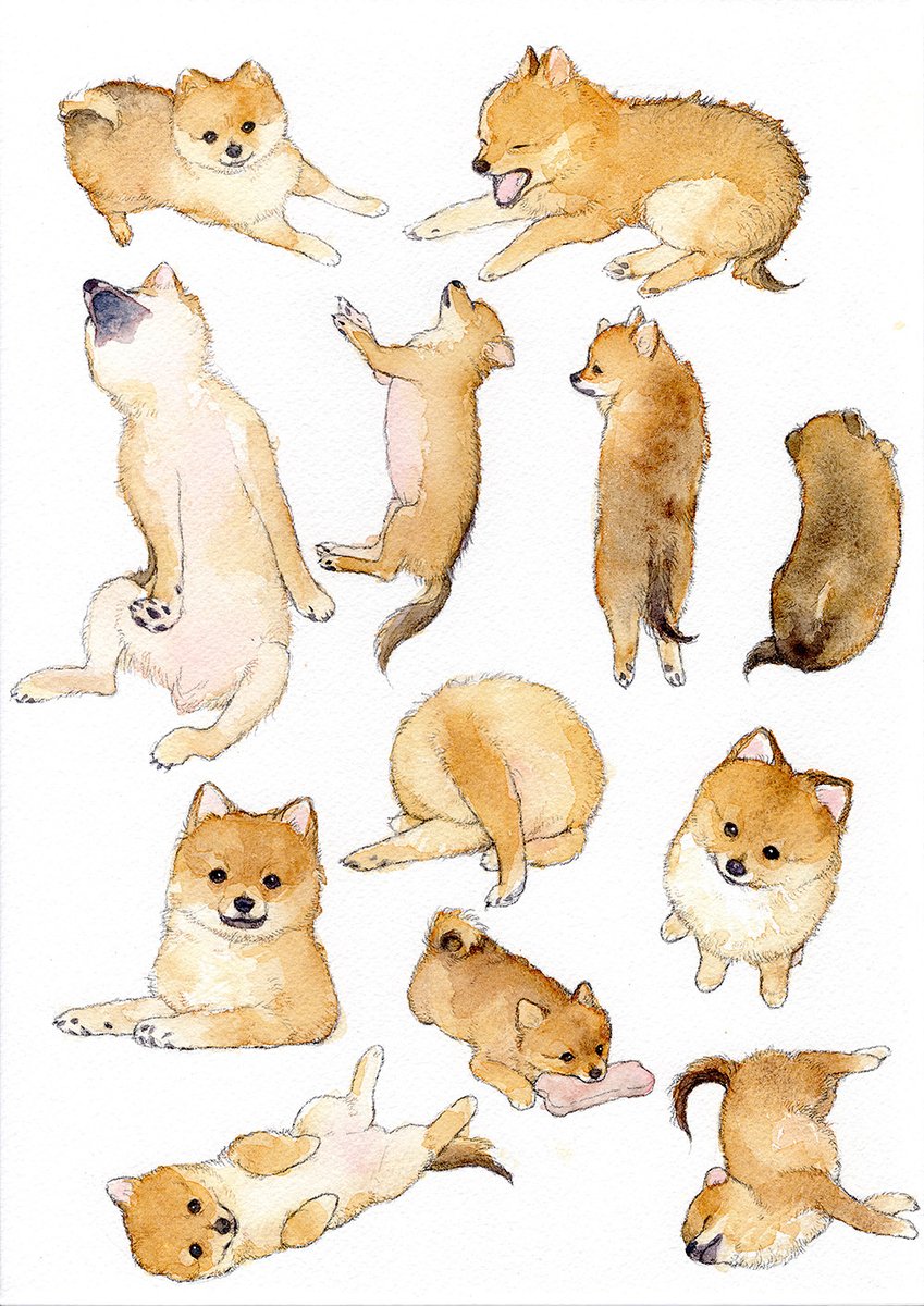 「たくさんの子犬 #透明水彩 」|黒城ろこのイラスト