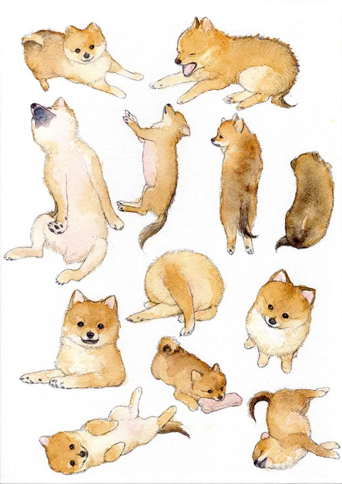 たくさんの子犬 #透明水彩 