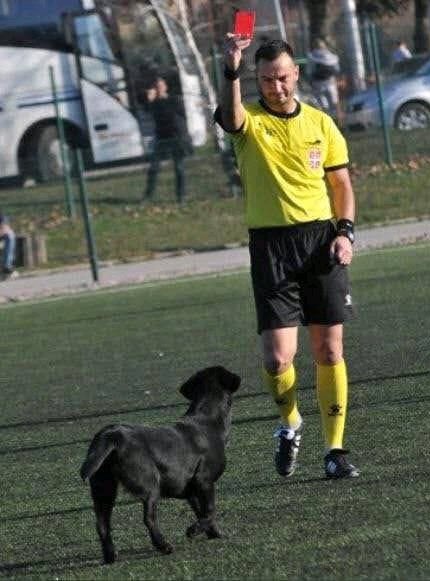 اذا كنت حكم في الدوري الإسرائيلي...
#فلسطيـن_حره