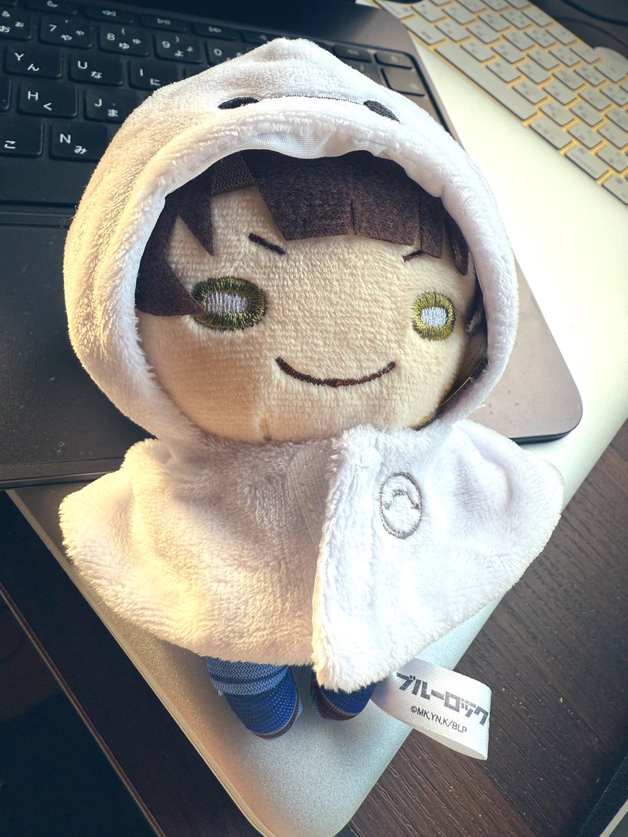 昨日ディズニーストアでゲットしたベイマックスを着せて、蜂てる坊主にした