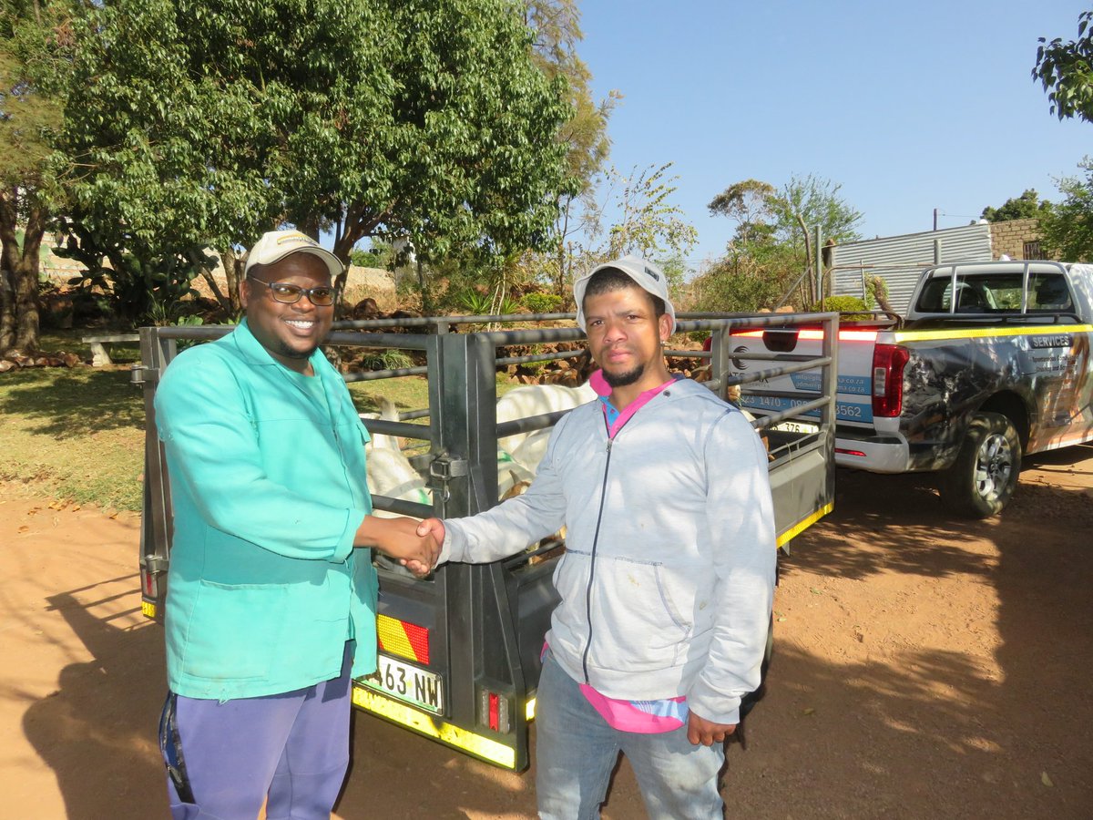 𝙏𝙝𝙖𝙣𝙠 𝙮𝙤𝙪 𝙖𝙣𝙙 𝘾𝙤𝙣𝙜𝙧𝙖𝙩𝙪𝙡𝙖𝙩𝙞𝙤𝙣𝙨 goes ADAM of Phatsema Livestock for supporting us and strengthening his flock with this package
Your trust and confidence in our genetics mean the world to us, and we can't wait to see the success.

<a href="/brothersfarm_/">Brothers Farm Livestock And Crops</a> #boergoats