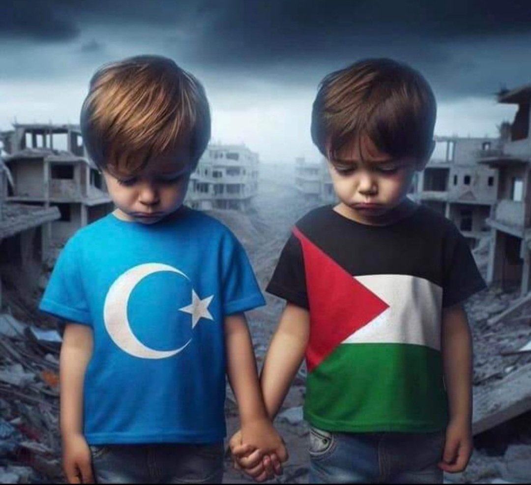 Doğu Türkistan'da soykırım!
Filistin'de soykırım!