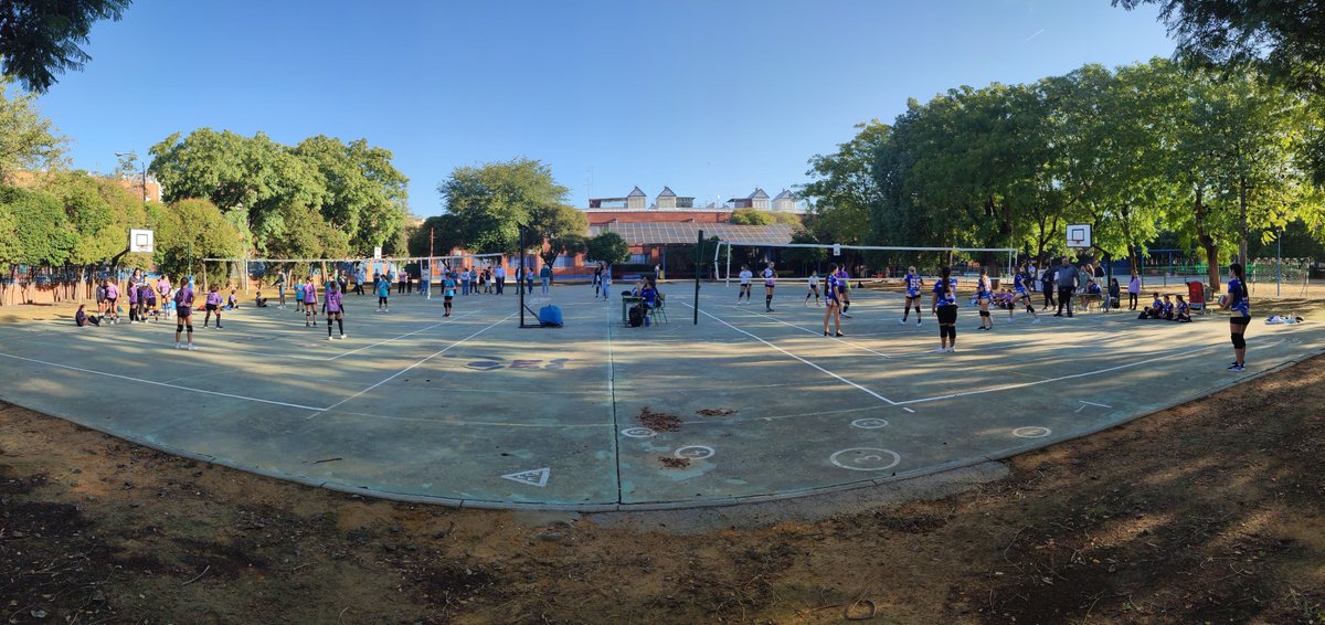 paravoleysevill's tweet photo. Fin de semana de partidos amistosos con los amigos de @maristasevilla y comienzo de la competición federada infantil masculina @FAVB_ contra CV Palestra. 
En 6 días comenzamos las competiciones @IMDSevilla https://t.co/Zfl4lc8az8
