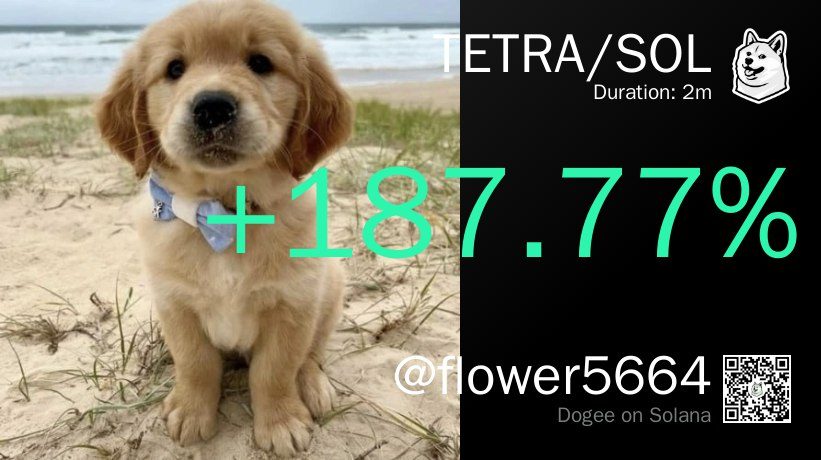flowersea0628d's tweet photo. ⭐挑战1sol赚100sol第一天⭐
第一天正在看有关推文监控的事情，所以操作的次数不是很多，总体胜率大概80%左右，吃了几个小倍数的，也有几个归零的，目前一次仓位是0.25个sol左右，等做到10sol会改变策略。

🚀今日战绩：1sol----2.5sol(+250%)
代表操作：①DOTS     146%  数据异动
                      ②TETRA   187%   推特监控
                      ③，=，e  329% 监控到了疑似庄家的聪明地址
 
反思：
还有几个归零的以及亏损的，都是被带了节奏，还有一些fomo，以后操作流程会越来越标准，宁可错过也不乱操作。

下面图片中的tg交易机器人dogee
是我感觉最丝滑的一个,https://t.co/FB0AgV0kAn 
还可以晒单，满满的成就感

后续还想拉一个大家交流的交流群，不收费，我会免费公开我的资料，互帮互助，有什么好的建议都可以写在评论区，还有就是最重要的一个事情👇

passion!✌️