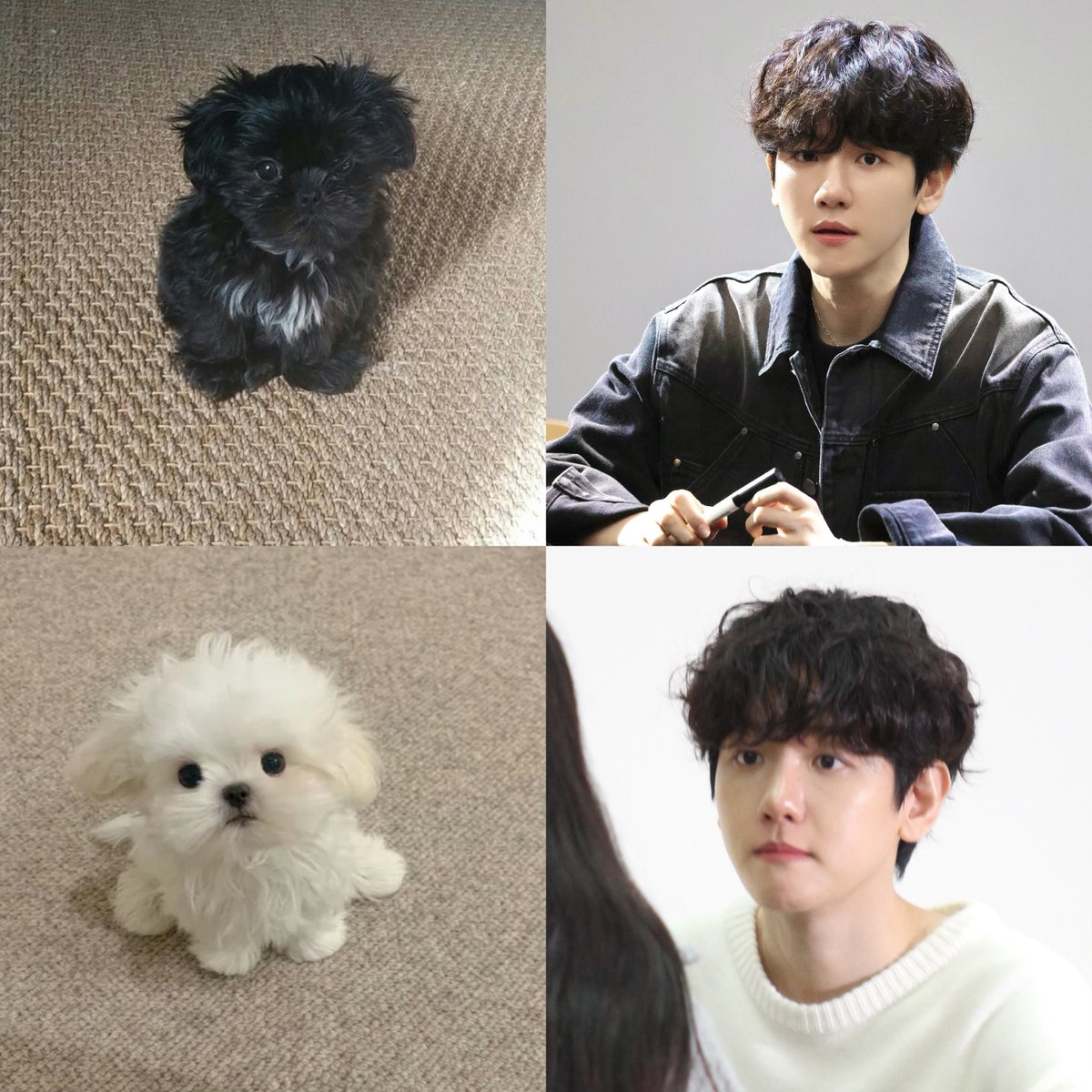 #BAEKHYUN #2024MAMAVOTE 🐶🐶