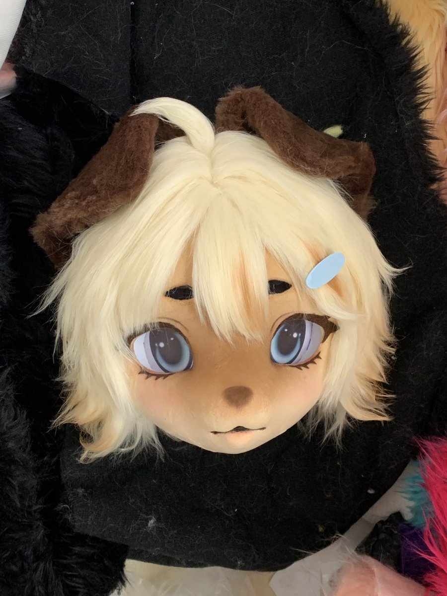 Newly made, on sale~

#fursuit #fursuitcommission #fursuits #fursuiter #fursuiting #furry  #furryart #kigurumi #kigfurry #furrycommission