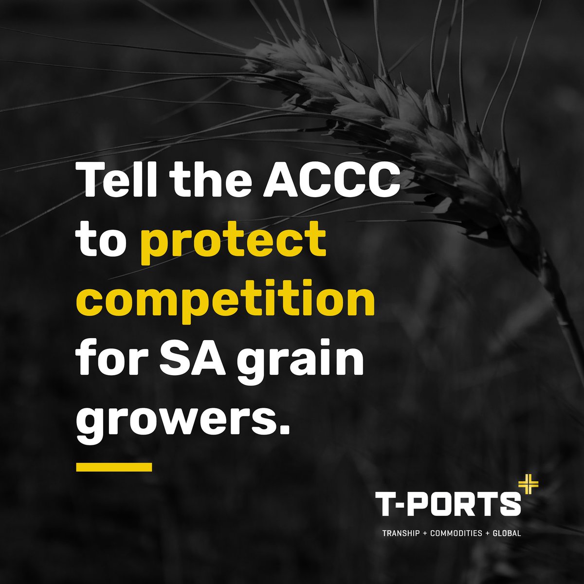 T-Ports (@tportsaus) on Twitter photo Have your say about Viterra’s takeover of GrainFlow handling & storage sites.
If – like us – you believe it will lower competition and hurt growers, tell the ACCC you oppose the purchase.
You have until this Thursday 24 October to send a submission to mergers@accc.gov.au Have your say about Viterra’s takeover of GrainFlow handling & storage sites.
If – like us – you believe it will lower competition and hurt growers, tell the ACCC you oppose the purchase.
You have until this Thursday 24 October to send a submission to mergers@accc.gov.au