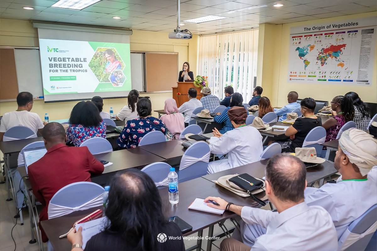 The event has officially commenced today. The World Vegetable Center (WorldVeg), in partnership with Kasetsart University, is hosting the 41st International Vegetable Training Course (IVTC) on Vegetable Breeding for the Tropics, taking place from October 21 to November 1, 2024.