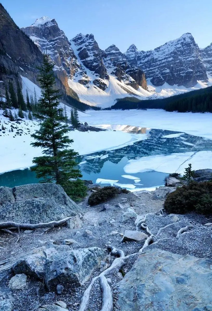 Smily Girl (@lily__zone) on Twitter photo 