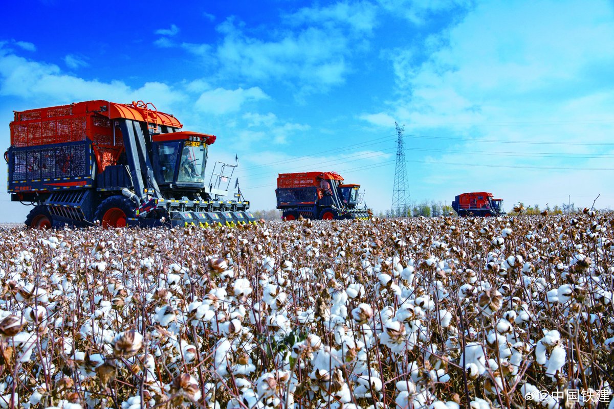 PDChina's tweet photo. Cotton harvesting in northwest China has been made easy thanks to domestically developed cotton harvesters. The new models, boasting the world's smartest, can harvest 33.35 hectares of #cotton per day—equivalent to the manual labor of 2,000 farmers. #ChinaAgriculture https://t.co/eJhuUpNGzk