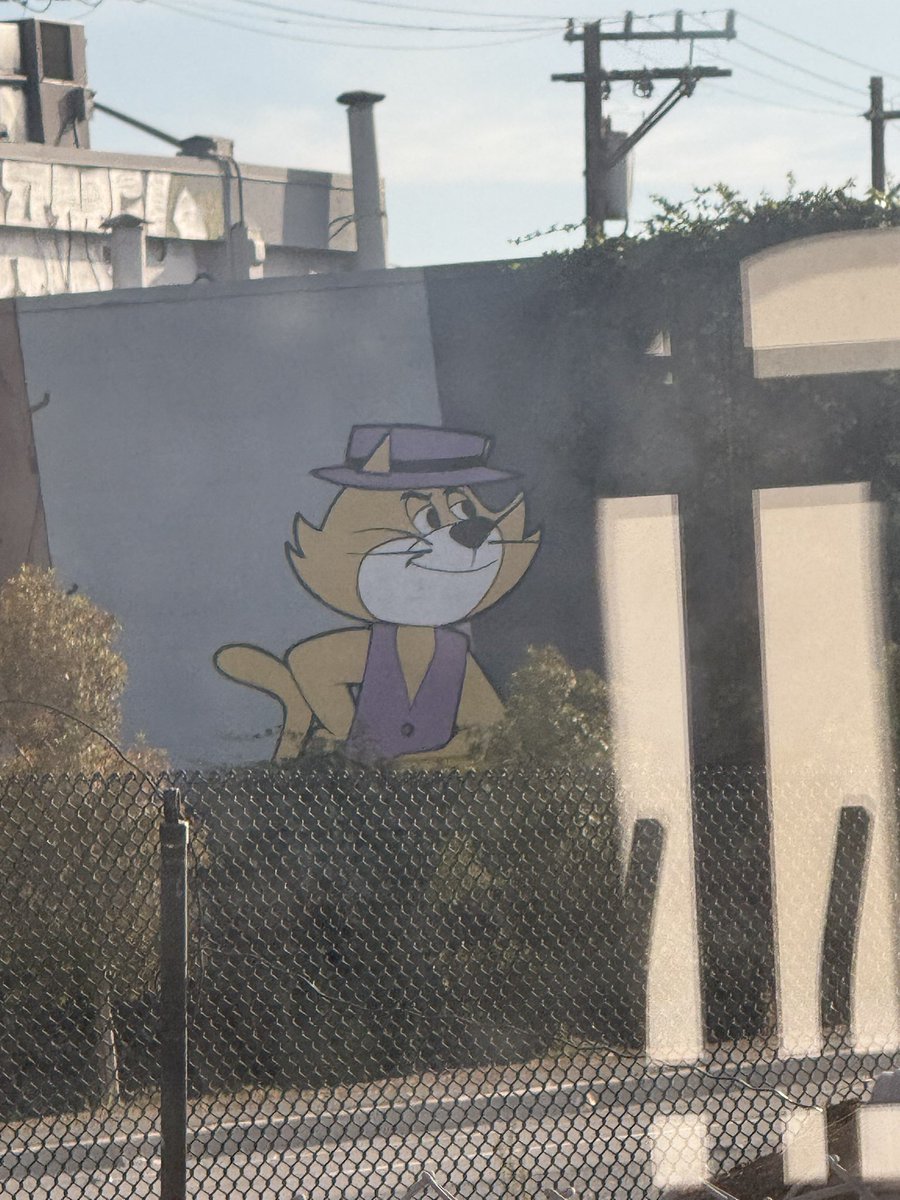 skipdotmp3's tweet photo. @dreamtdebris wild top cat spotting https://t.co/9N72yYAGvk
