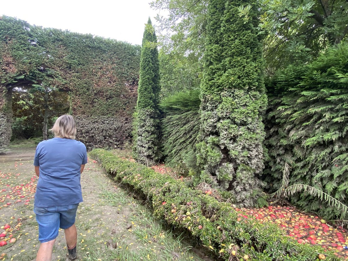 The difference 20 months makes. Still lots to do but it’s no longer get daunting.