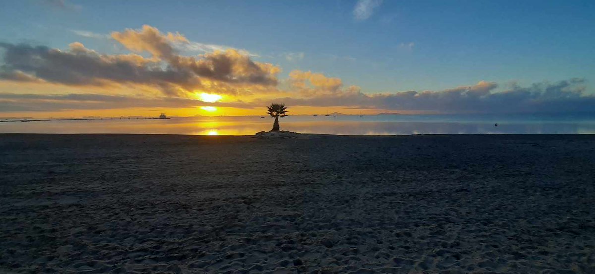 Cuando el esfuerzo es mucho, la satisfacción es mayor... 🥰

Buenos días de lunes!!!

#ViveLosAlcázares #marmenor #turismo
#𝐆𝐚𝐬𝐭𝐫𝐨𝐦𝐚𝐫𝐋𝐨𝐬𝐀𝐥𝐜𝐚́𝐳𝐚𝐫𝐞𝐬