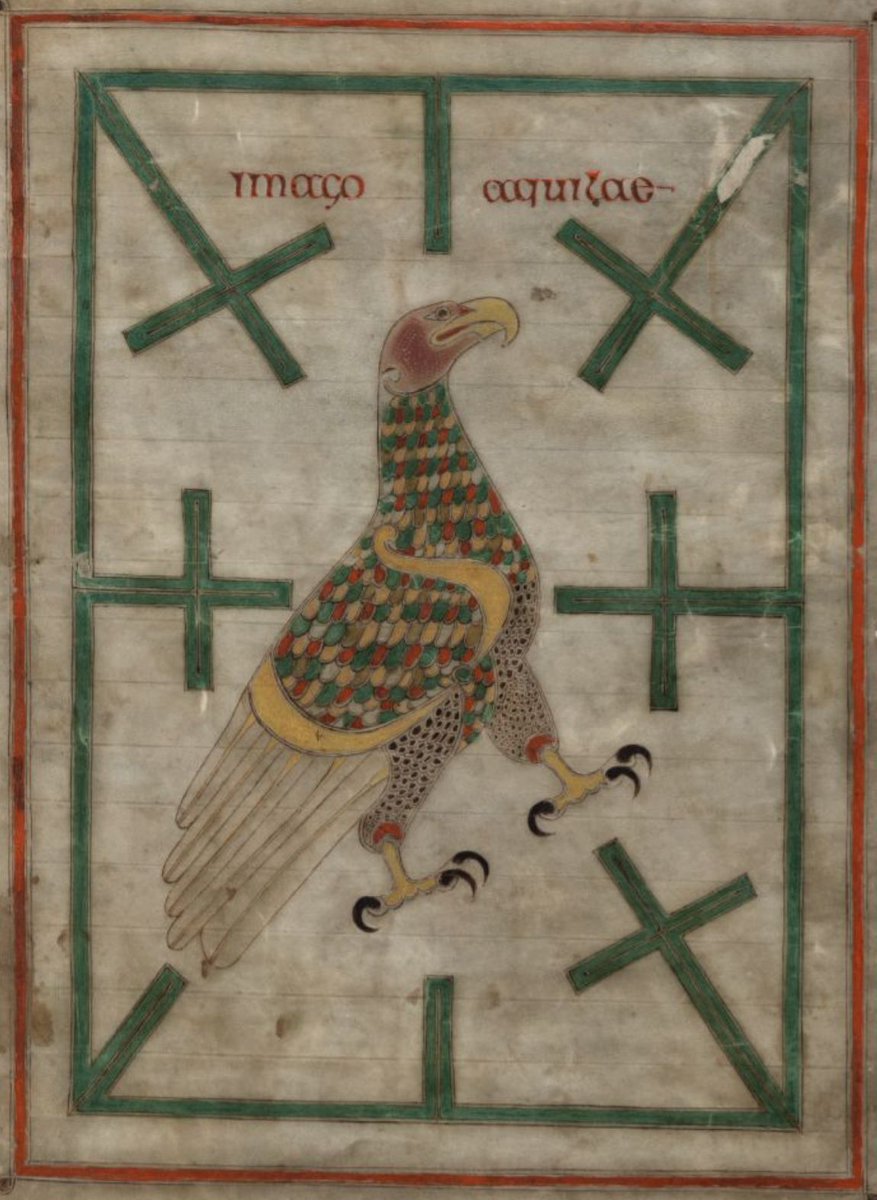 Old English Wordhord (@oewordhord) on Twitter photo gūþ-hafoc, m.n: war-hawk (an epithet for the eagle). (GOOTH-HA-vock / ˈguːθ-ˌha-vɔk) Image: The Northumbrian Gospels; England, 8th century; <a href="/ParkerLibCCCC/">The Parker Library</a> MS 197B, p. 245. #OldEnglish #WOTD gūþ-hafoc, m.n: war-hawk (an epithet for the eagle). (GOOTH-HA-vock / ˈguːθ-ˌha-vɔk) Image: The Northumbrian Gospels; England, 8th century; <a href="/ParkerLibCCCC/">The Parker Library</a> MS 197B, p. 245. #OldEnglish #WOTD