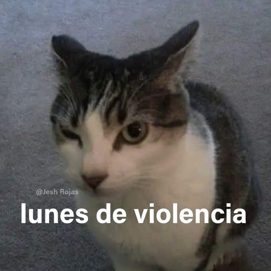En Júpiter tweet media