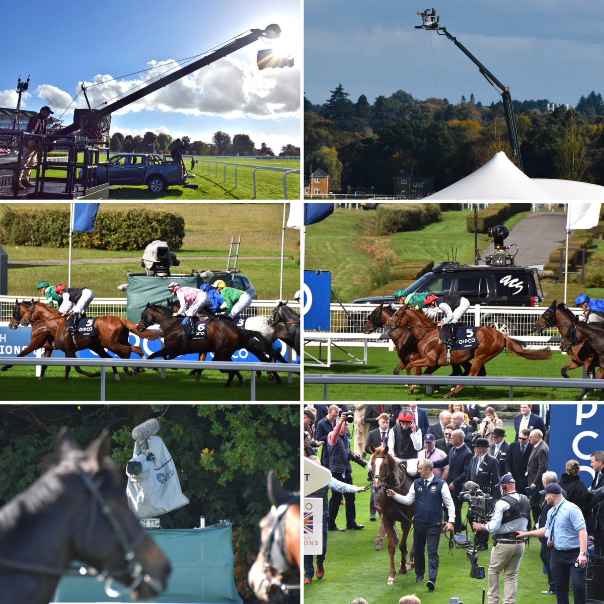 Steve Challes tweet media