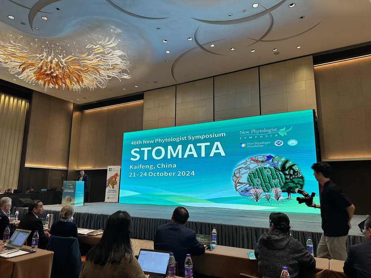 Diana Santelia tweet media