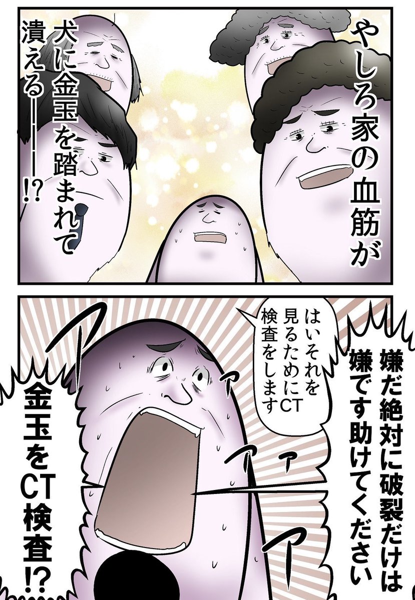 犬に金玉を踏まれて病院で特殊性壁を疑われた話 5/7 