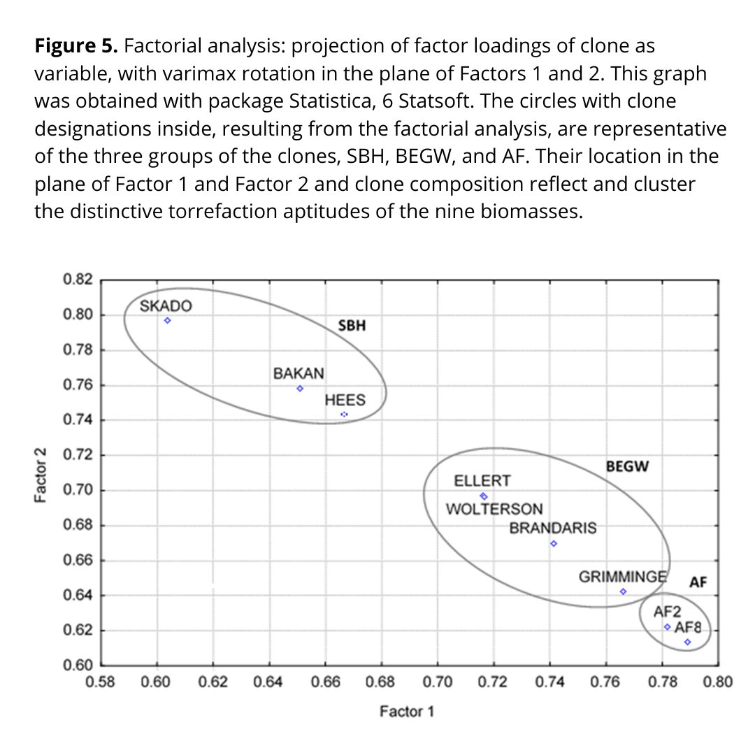 CEF - Centro de Estudos Florestais tweet media